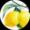 lemonmaiden